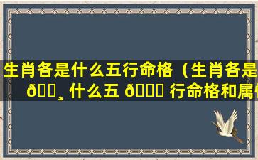 生肖各是什么五行命格（生肖各是 🌸 什么五 🐞 行命格和属性）